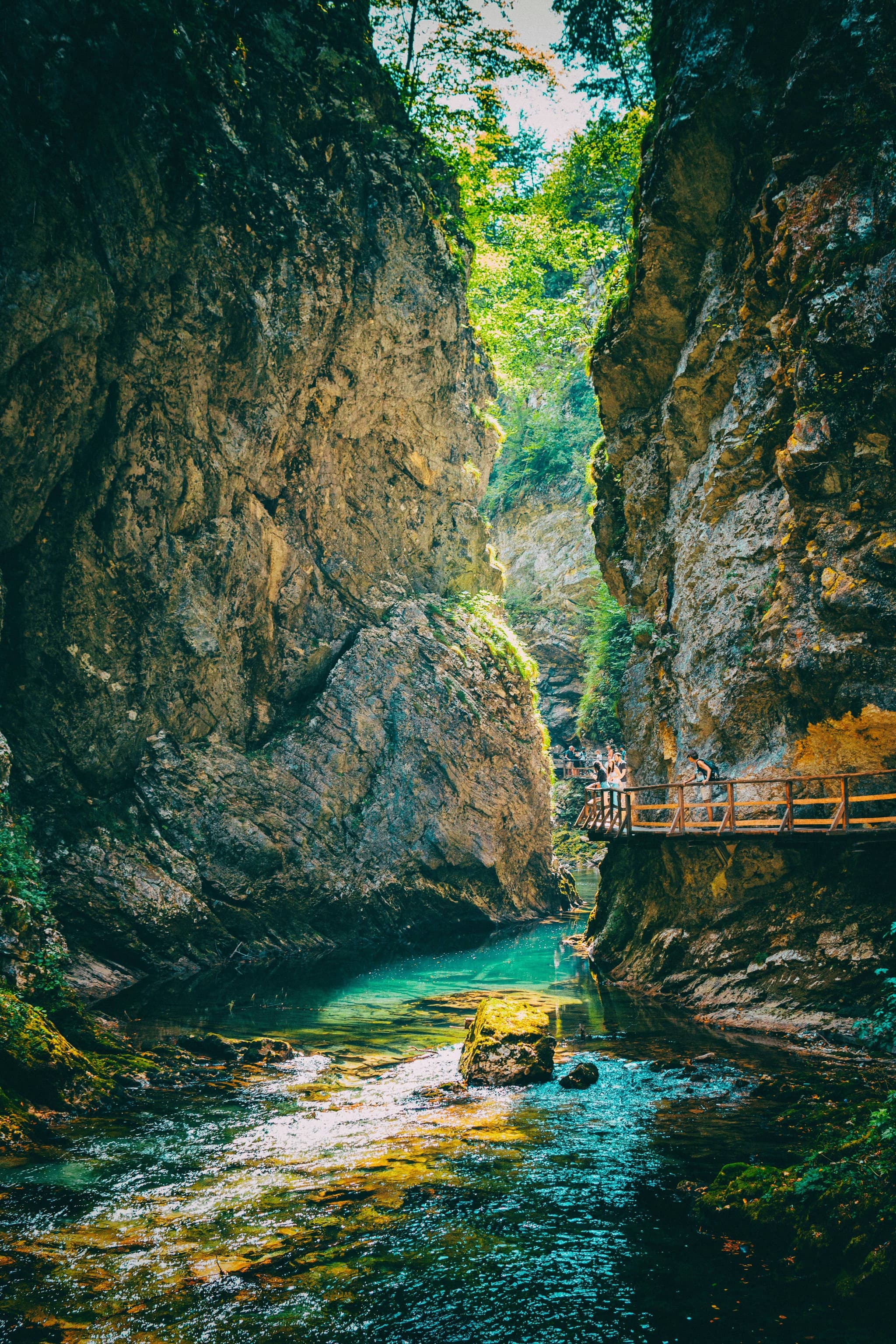 Despite its small size, Slovenia offers an impressive diversity of landscapes: steep mountains, glacial lakes, turquoise rivers, millennial caves... In just a few kilometers, you go from the peaks of Triglav National Park to the calm of green pastures or the shores of Lake Bled. It's a paradise for hiking enthusiasts, water sports, or simply fresh air. Nature is everywhere, accessible and beautifully preserved.